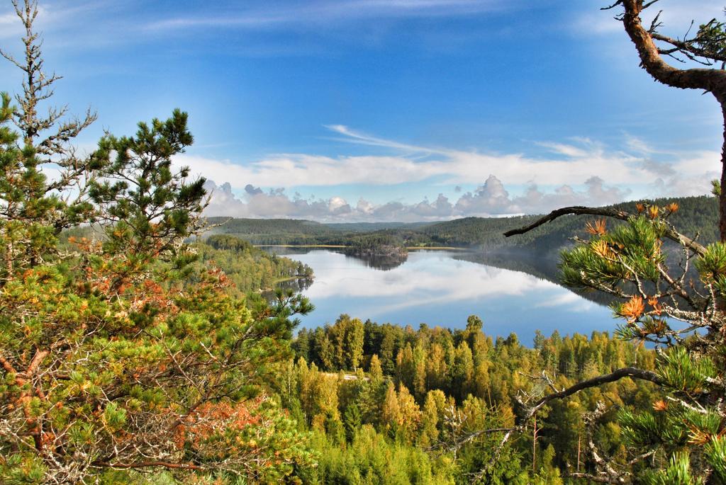 Foellingen Hotell Kisa Luaran gambar